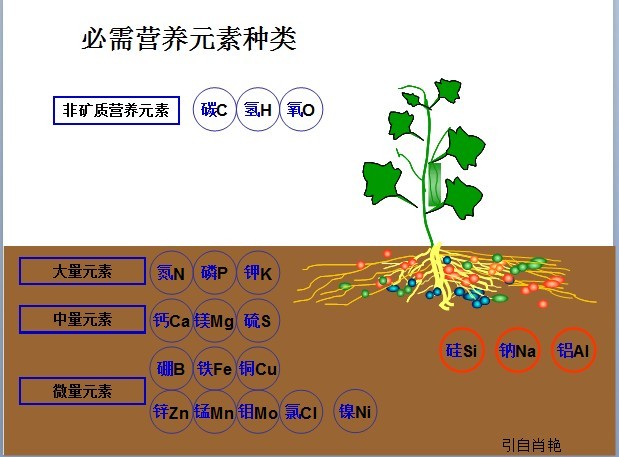 小品演員發(fā)型 小品演員換新式發(fā)型當(dāng)“嘀嘀司機(jī)”