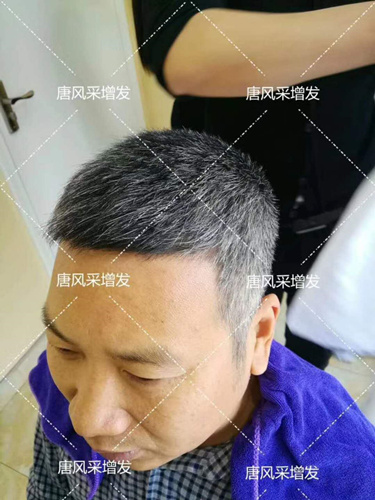 老年短假發(fā)全真發(fā)的好嗎？ 主要是用來(lái)遮白發(fā)的！