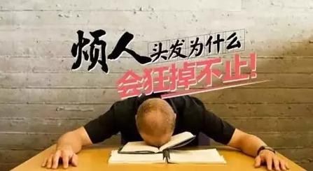 最近很少晚睡，脫起發(fā)來卻沒商量！