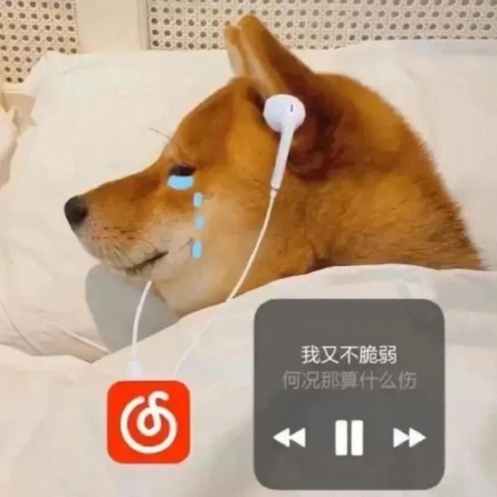 王婆說(shuō)媒 \